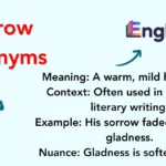 Sorrow Antonyms