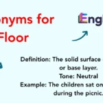 Synonyms for Floor