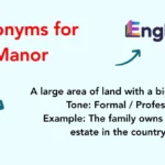 Synonyms for Manor