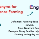 Synonyms for Subsistence Farming