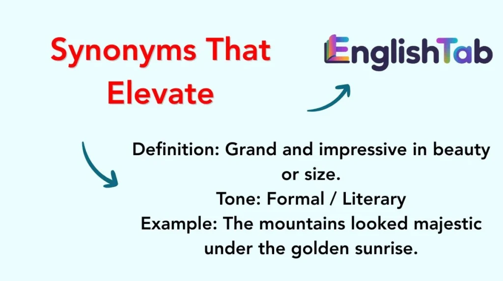 Synonyms That Elevate